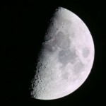 Detailed monochrome image of the half moon showing lunar craters and textures.